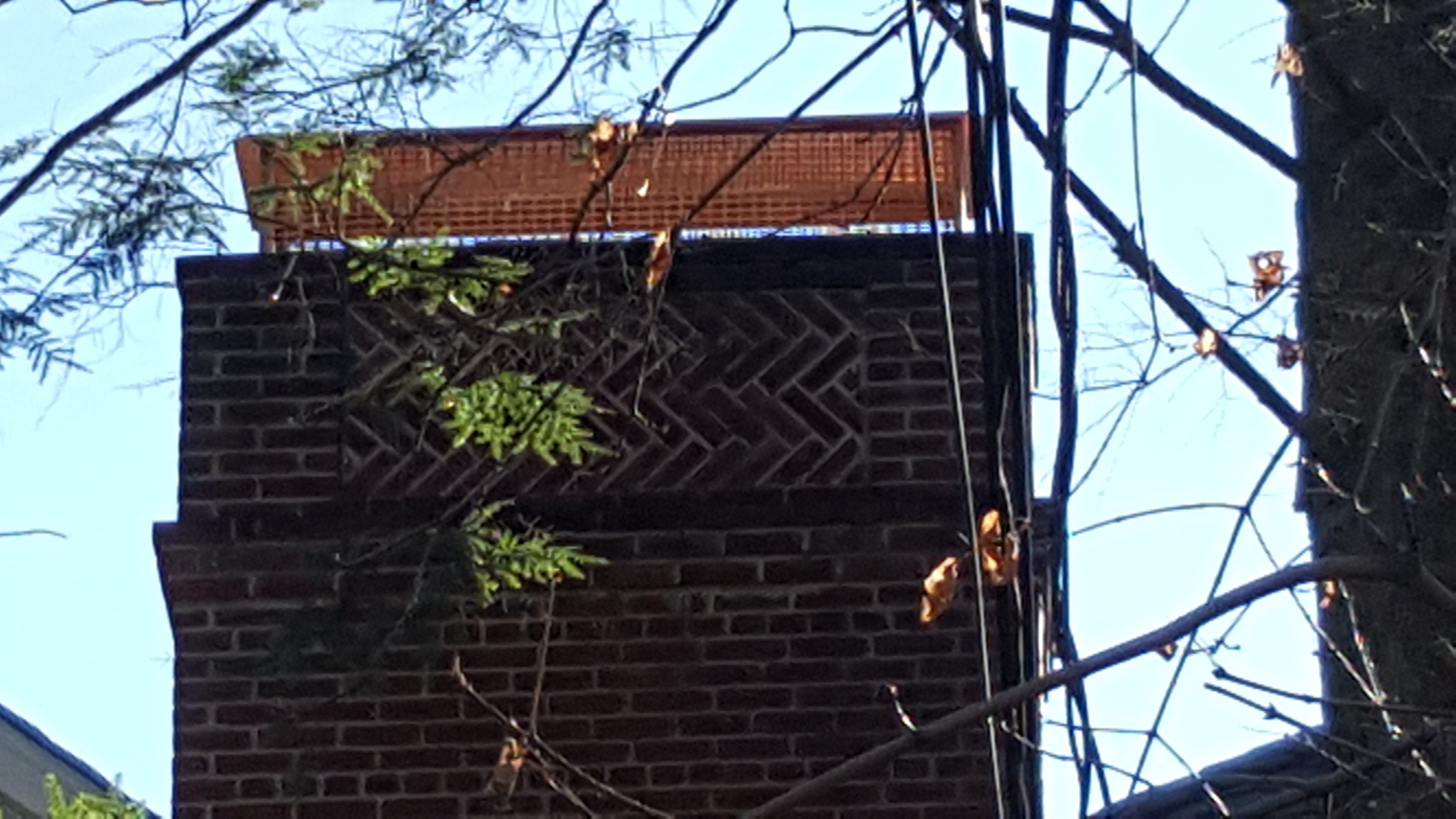 Animal-proof chimney cap protecting home in Freeport, New York